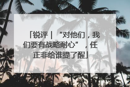 锐评｜“对他们，我们要有战略耐心”，任正非给谁提了醒